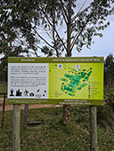 Grupo Cerro Místico