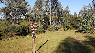 Grupo Cerro Místico