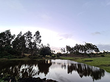 Grupo Cerro Místico