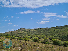 Grupo Cerro Místico Grupo Cerro Místico