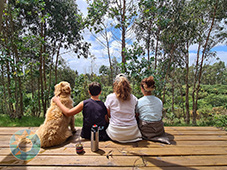 Grupo Cerro Místico Grupo Cerro Místico