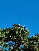 Grupo Cerro Místico Grupo Cerro Místico