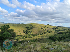Grupo Cerro Místico Grupo Cerro Místico