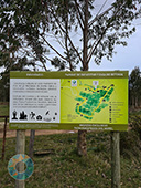Grupo Cerro Místico