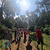 Grupo Cerro Místico