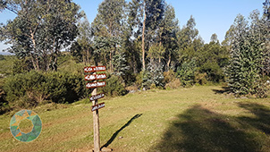 Grupo Cerro Místico
