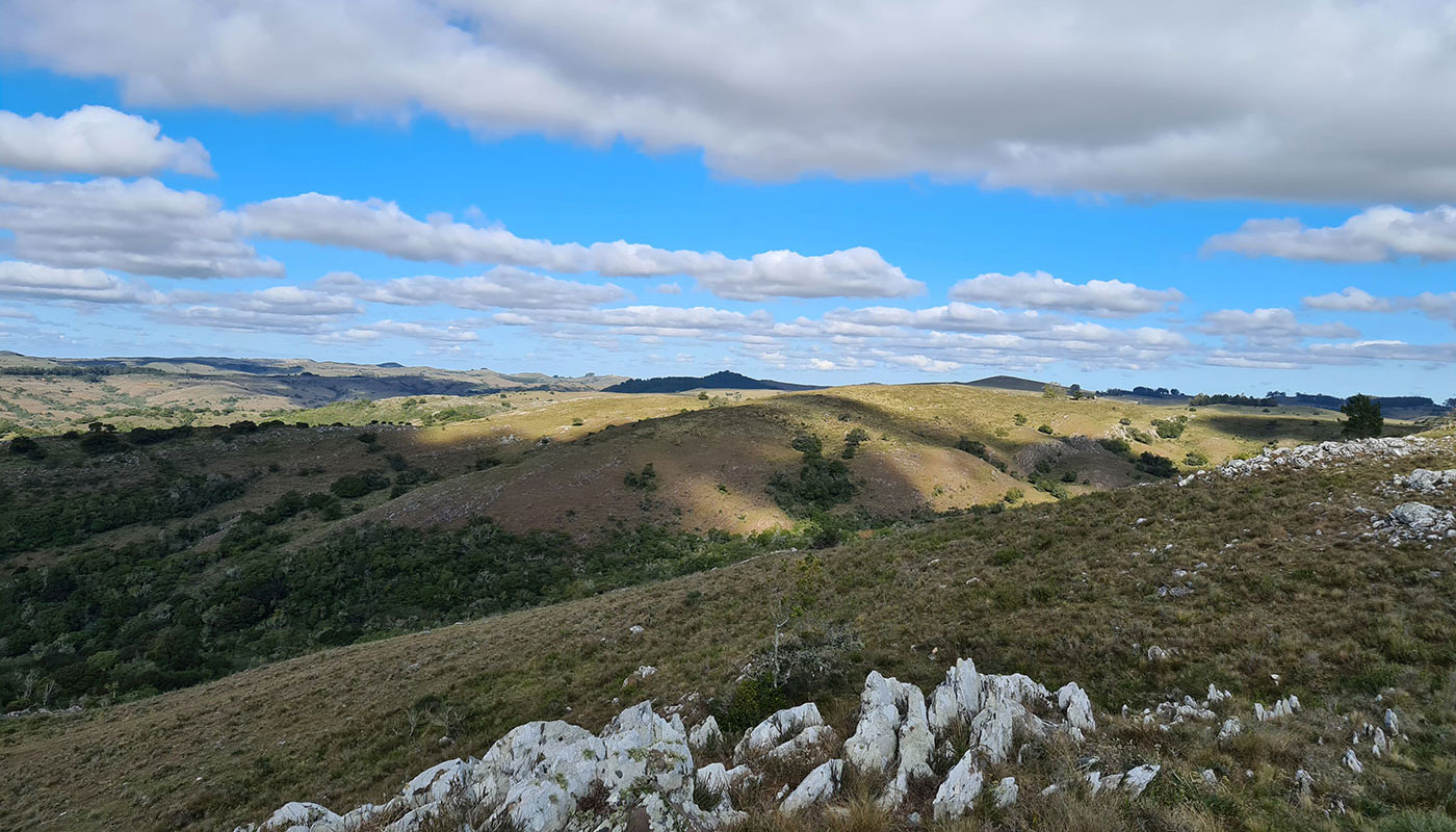 Chacras Cerro Místico