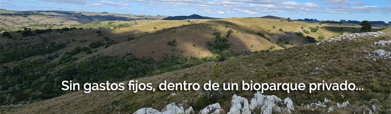 La Comarca Cerro Místico